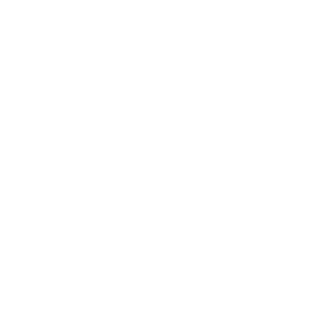 ppe icon